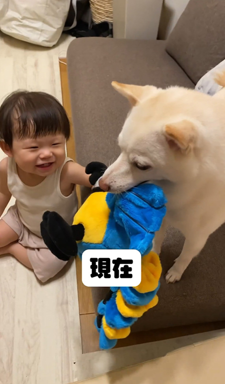 現在となりに弟くん