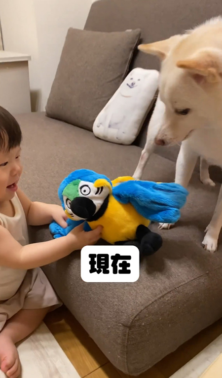 口を離したまめたちゃん