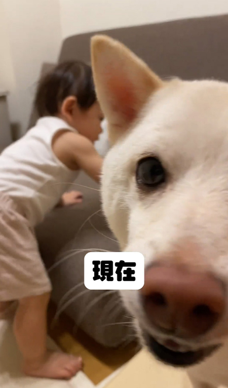 まめたちゃんドアップ