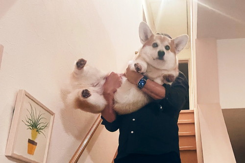 ガブちゃん「解せぬ」