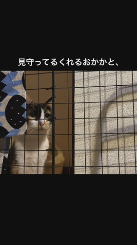 「こじこじと出会って今日で1ヶ月」