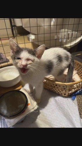 「こじこじと出会って今日で1ヶ月」