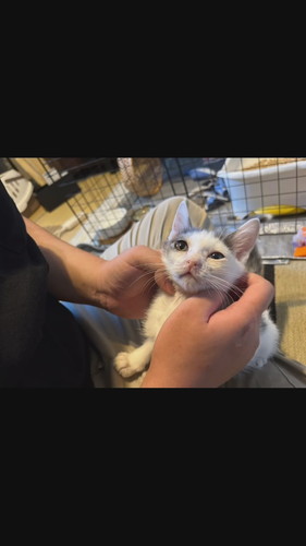 「こじこじと出会って今日で1ヶ月」