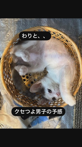 「こじこじと出会って今日で1ヶ月」