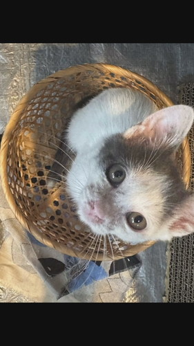 「こじこじと出会って今日で1ヶ月」