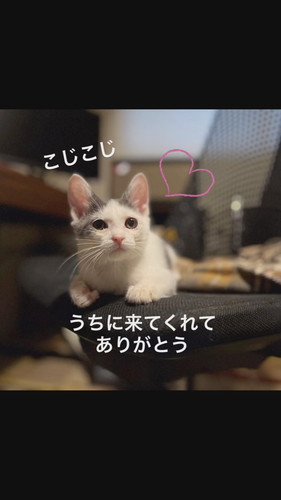 「こじこじと出会って今日で1ヶ月」