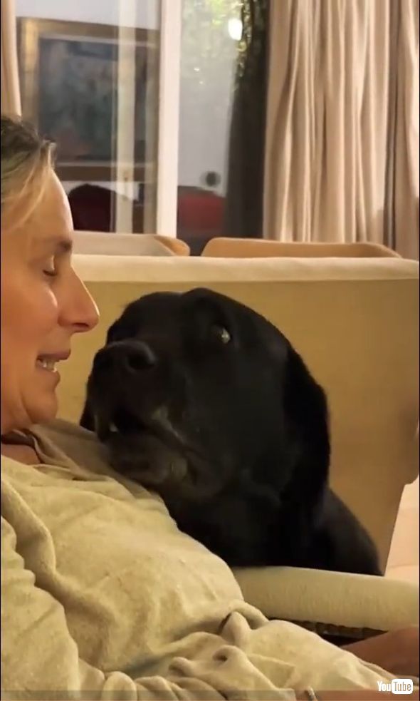 鼻でつついてさらに要求