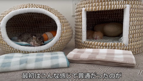 最初はこんな感じで普通だった