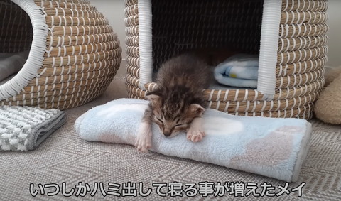 いつしかはみ出て