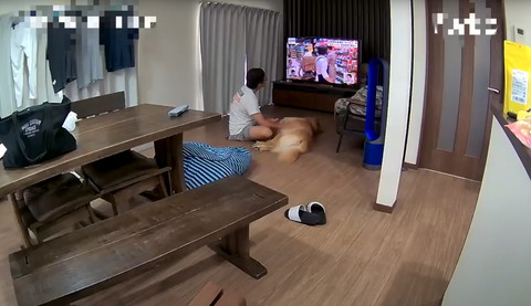 テレビを見るお父さんとワンコ