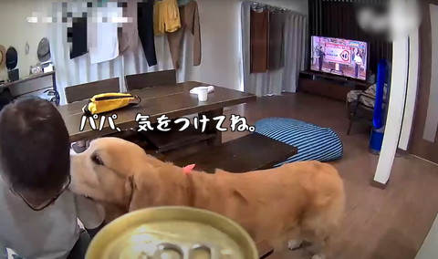 パパ気を付けてねテロップ