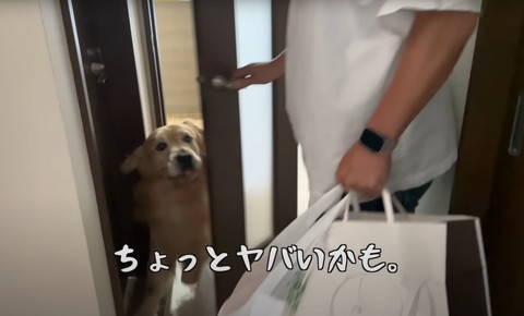 ちょっとやばいかもテロップ