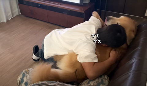 グスグステロップ