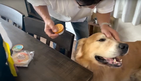 お土産となでなでされるワンコ