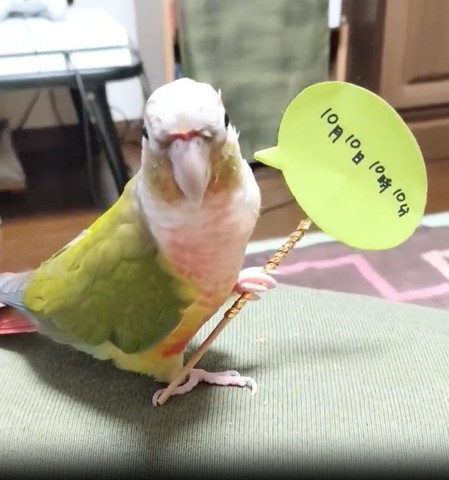 10月10日10時10分をお知らせする