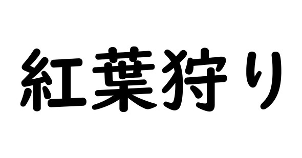 紅葉したモミジの画像