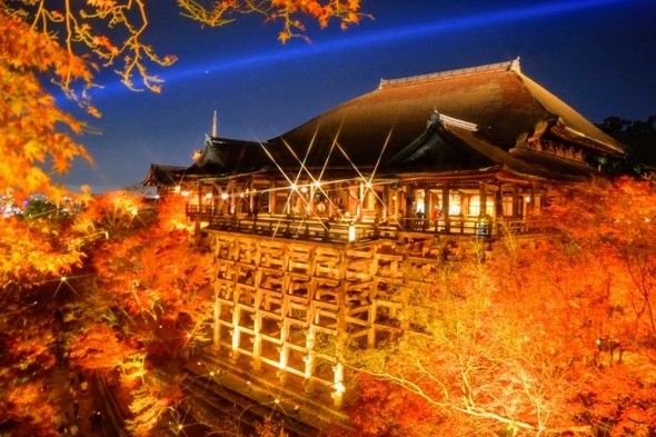 清水寺のモミジのライトアップ