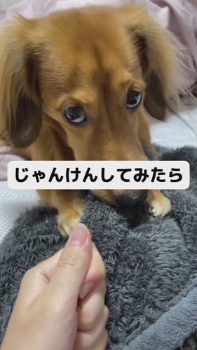 くうたろうくんとじゃんけんしてみたら……