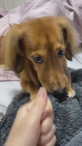 くうたろうくんとじゃんけんしてみたら……