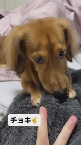 くうたろうくんとじゃんけんしてみたら……