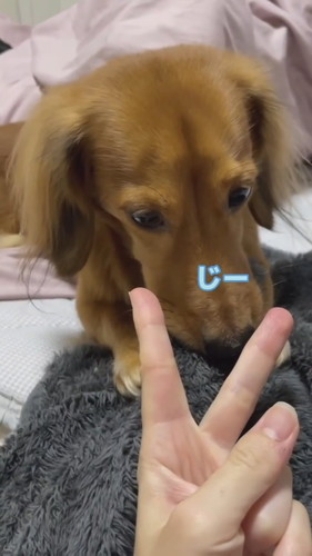 くうたろうくんとじゃんけんしてみたら……