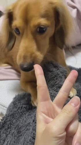 くうたろうくんとじゃんけんしてみたら……