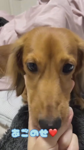 くうたろうくんとじゃんけんしてみたら……