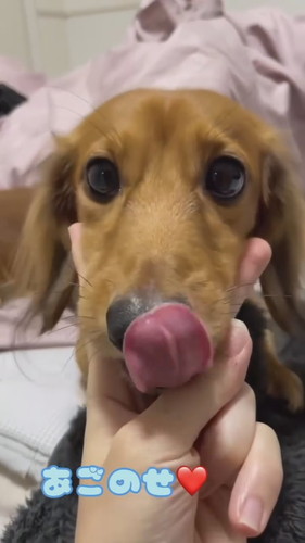 くうたろうくんとじゃんけんしてみたら……