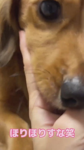 くうたろうくんとじゃんけんしてみたら……