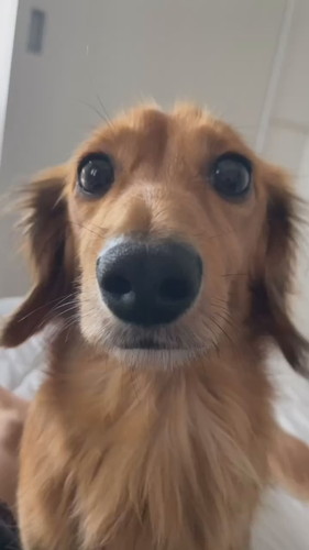 くうたろうくん