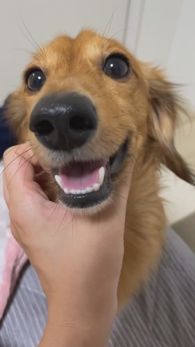 くうたろうくん