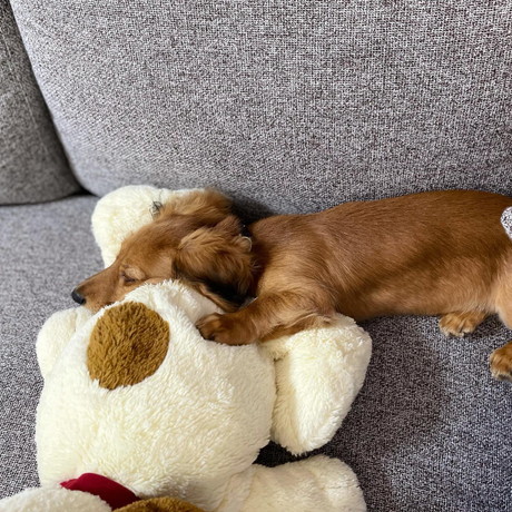 くうたろうくん