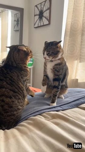 一瞬でこの状態に