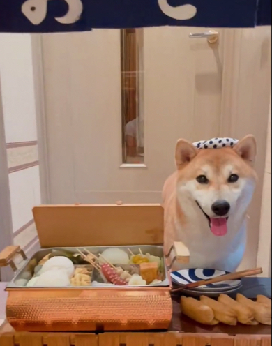 おでん屋さんに扮する柴犬