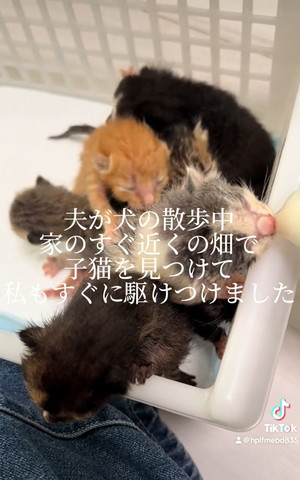 夫が犬の散歩中家のすぐ近くの畑で