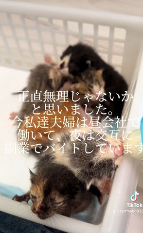 正直無理じゃないかと思いました