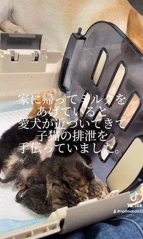 家に帰ってミルクをあげていると