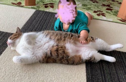 ハグする赤ちゃん