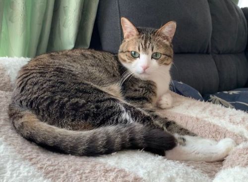 見つめるすずめちゃん