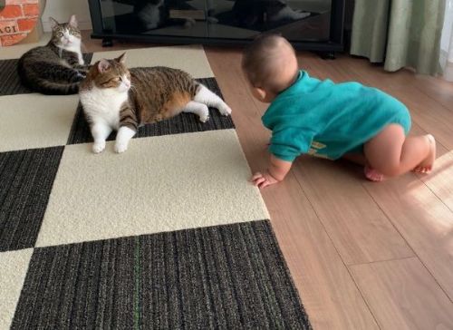 平和なひととき