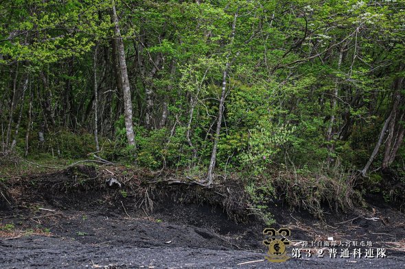 自衛隊　自衛官を探せ　クイズ　問題