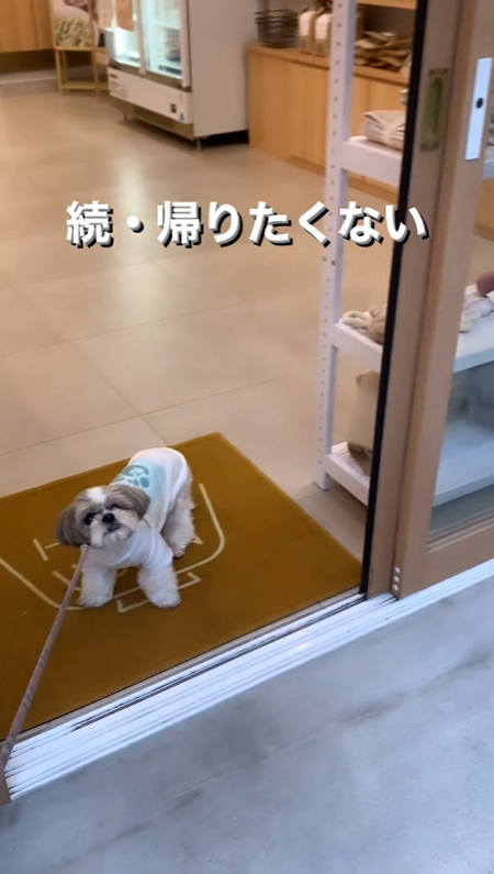 続帰りたくない冒頭