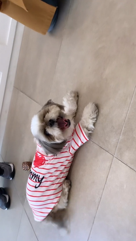 赤ボーダーちゅらちゃん動画最後