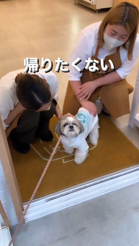 なでてもらうちゅらちゃん
