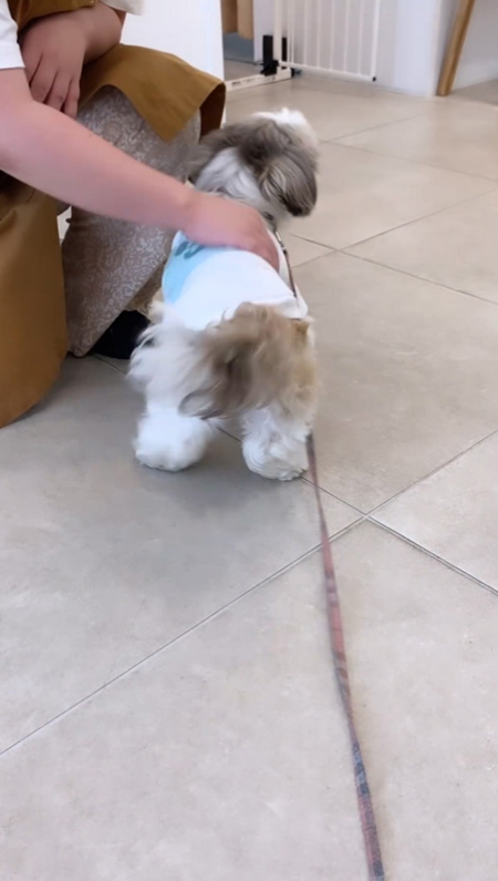 舞う
