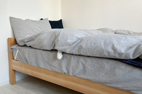 布団から足を出す猫