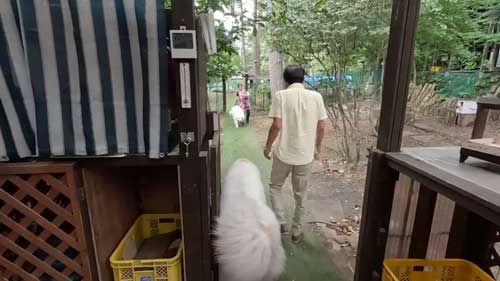 駆け寄るルンルン