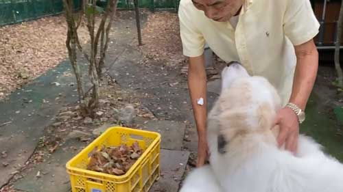 うれしそうなルンルンとアラン