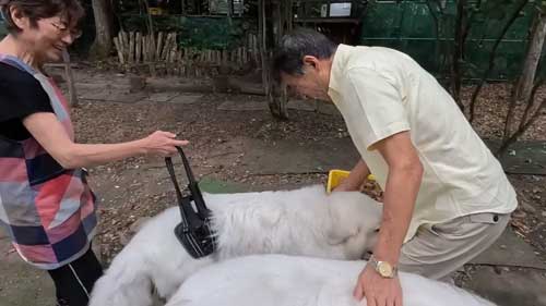 幸せな家族の光景