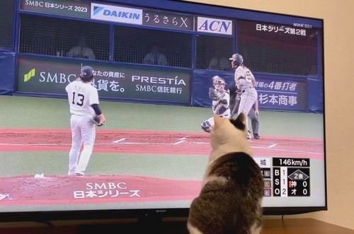 返球のボールも